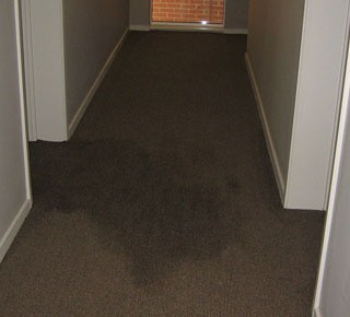 Flooded Apartment Floor