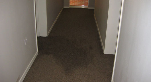 Flooded Apartment Floor