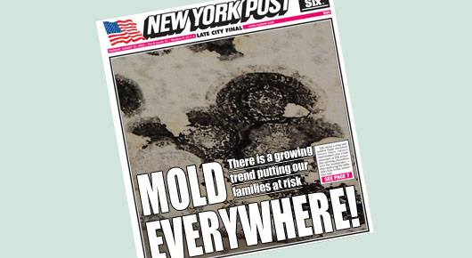 Mold in the News Headlines